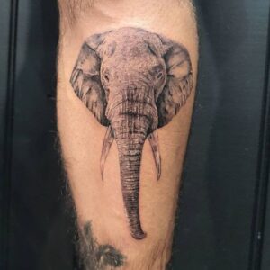 Tatuagem de elefante - tatuagem masculina