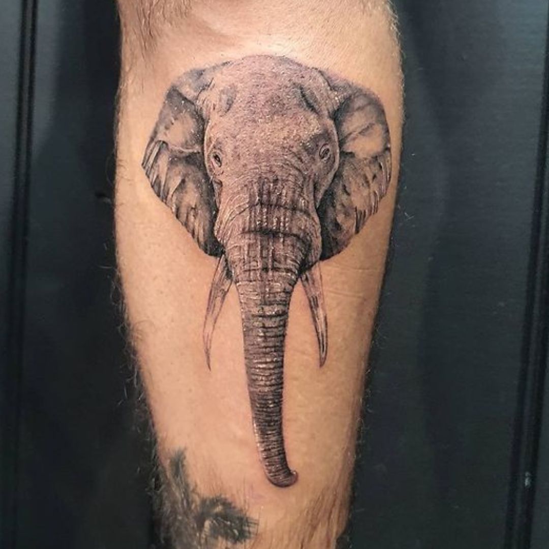 Tatuagem de elefante - tatuagem masculina