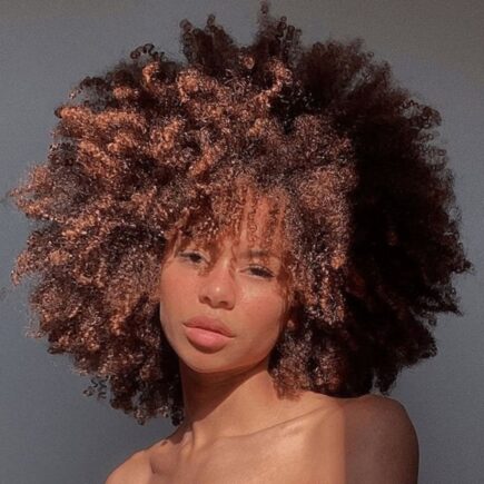 cabelo feminino afro crespo